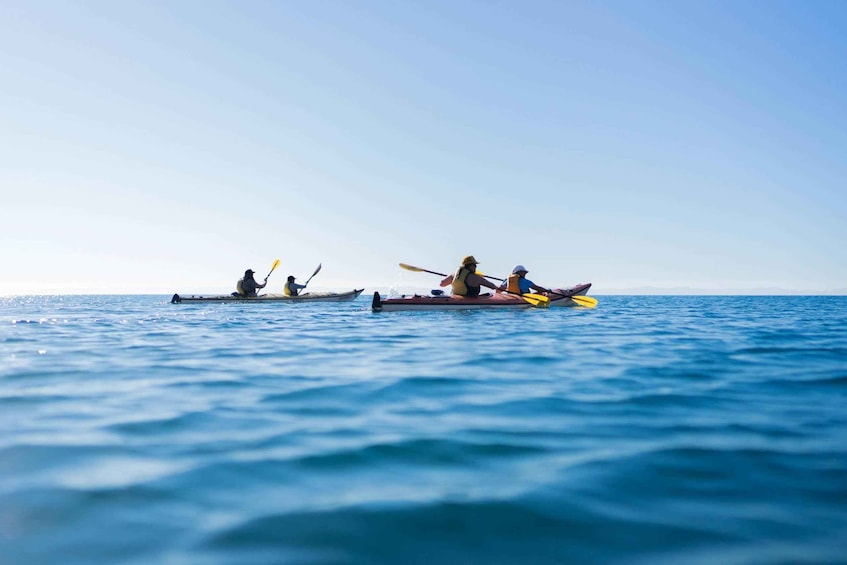 Picture 11 for Activity Uvita: Marino Ballena National Park Sea Kayak & Snorkel