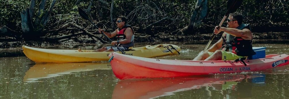 Picture 4 for Activity Uvita: Marino Ballena National Park Sea Kayak & Snorkel