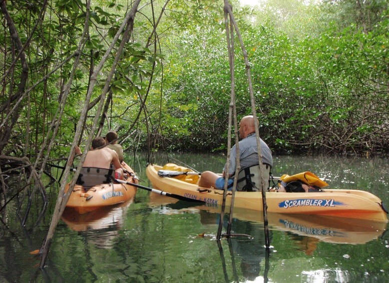 Picture 5 for Activity Uvita: Kayak & Snorkel Private Tour - Marino Ballena N. Park