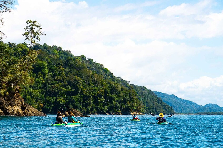 Picture 6 for Activity Uvita: Kayak & Snorkel Private Tour - Marino Ballena N. Park