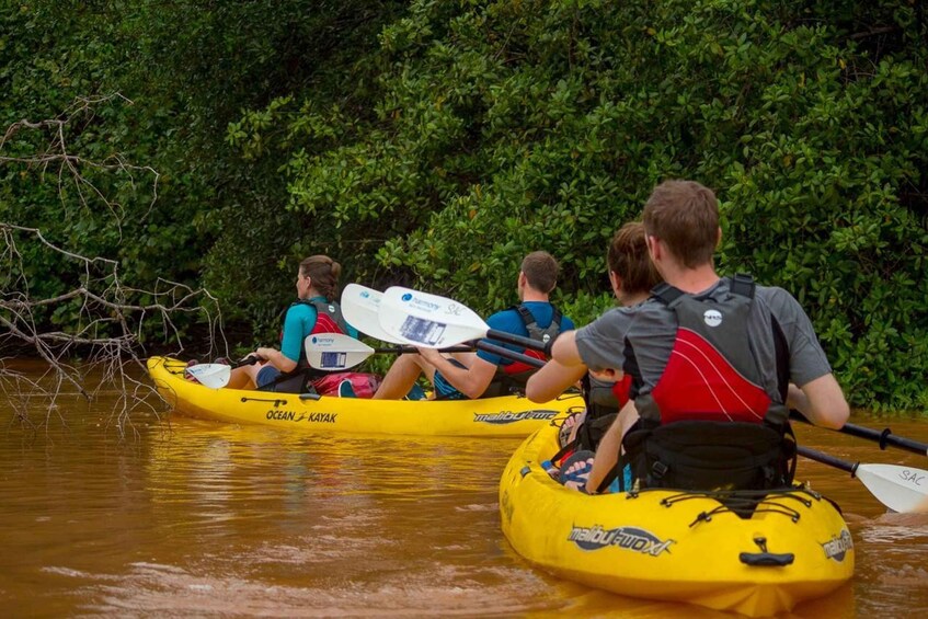 Uvita: Marino Ballena National Park Sea Kayak & Snorkel