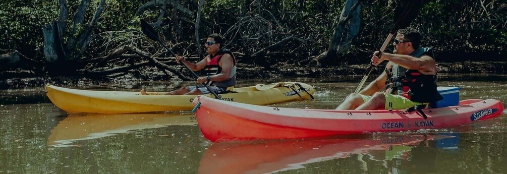 Picture 4 for Activity Uvita: Kayak & Snorkel Private Tour - Marino Ballena N. Park