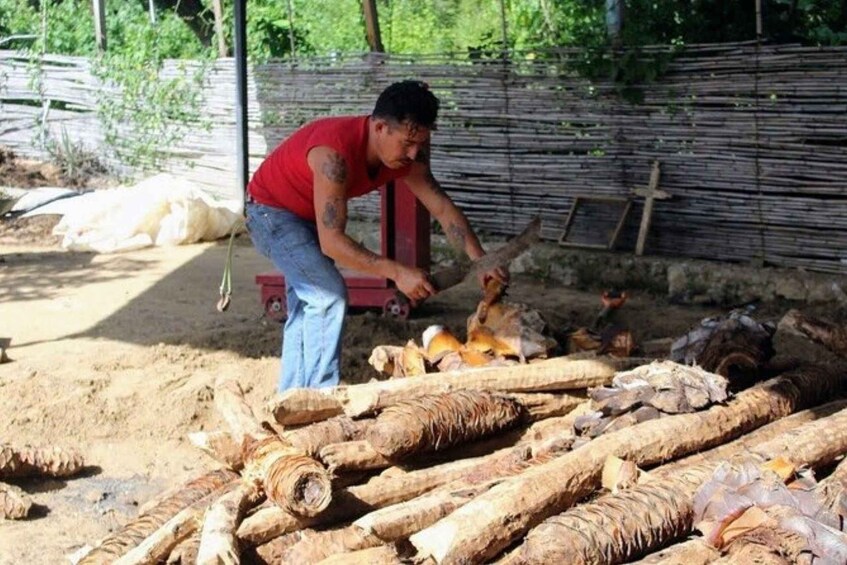 Picture 1 for Activity Oaxaca: Ancestral Mezcal Tasting in Ocotlan Valley