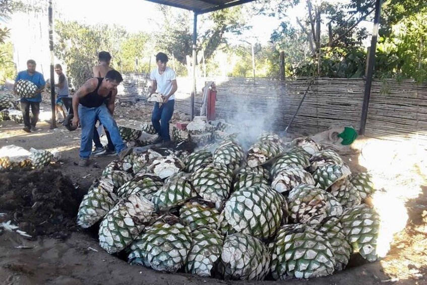 Picture 4 for Activity Oaxaca: Ancestral Mezcal Tasting in Ocotlan Valley