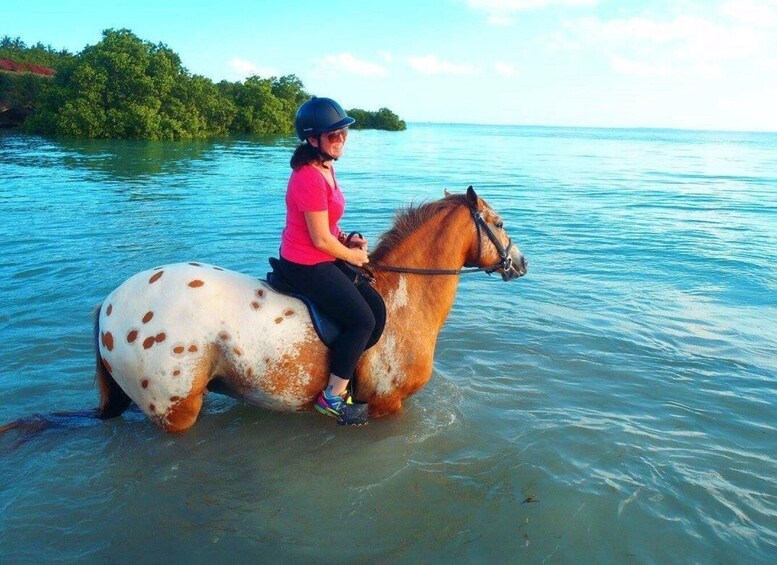 Picture 6 for Activity The Rock Restaurant, Jozani Forest, Horseback Riding Tour