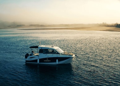 Porto: Private Boat Tour in Douro River