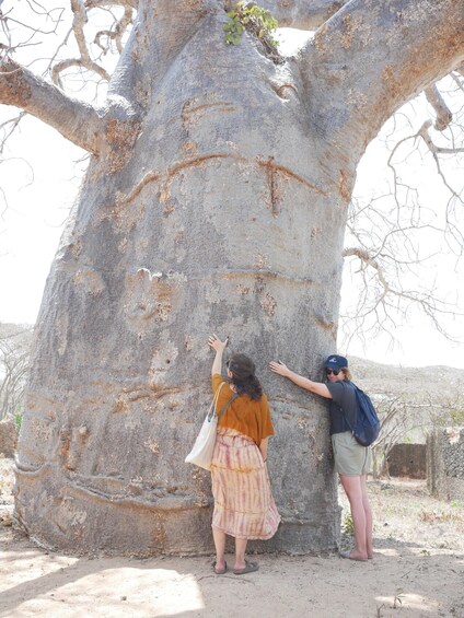 Picture 4 for Activity Private Dhow Cruise Lamu (Daytrip): Takwa Ruins