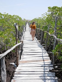 Crucero privado en dhow por Lamu (excursión de un día): ruinas de Takwa