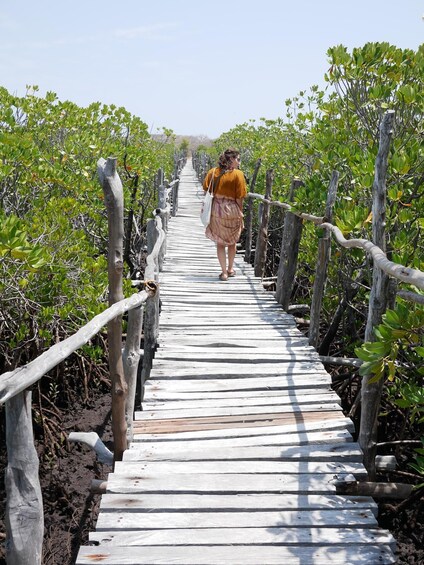 Private Dhow Cruise Lamu (Daytrip): Takwa Ruins