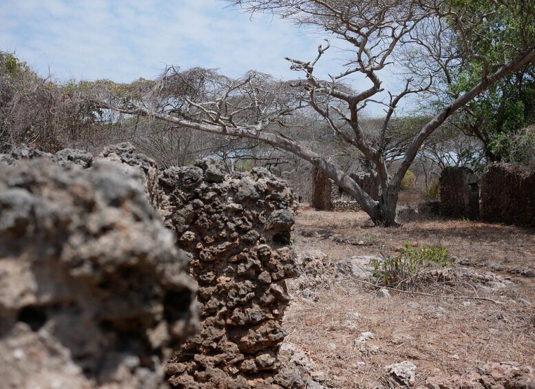 Picture 2 for Activity Private Dhow Cruise Lamu (Daytrip): Takwa Ruins