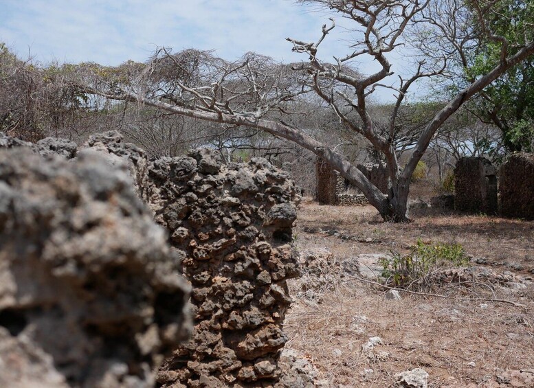 Picture 2 for Activity Private Dhow Cruise Lamu (Daytrip): Takwa Ruins