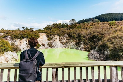 Waiotapu: Thermal Park og Lady Knox Geysir Inngang Billett