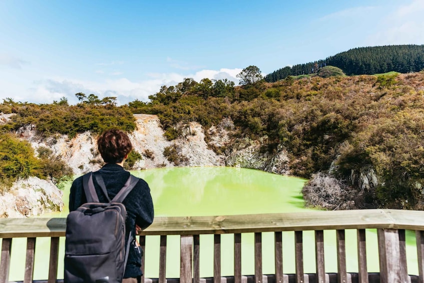 Waiotapu: Thermal Park and Lady Knox Geyser Entry Ticket