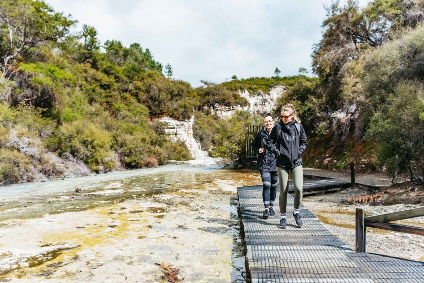 Picture 2 for Activity Waiotapu: Thermal Park and Lady Knox Geyser Entry Ticket