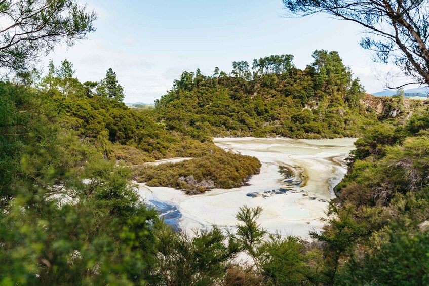 Picture 14 for Activity Waiotapu: Thermal Park and Lady Knox Geyser Entry Ticket