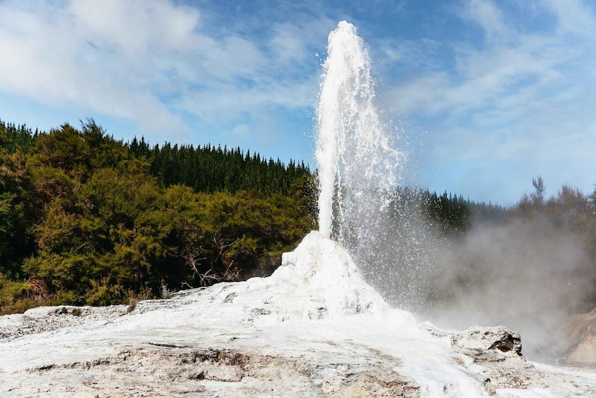 Picture 3 for Activity Waiotapu: Thermal Park and Lady Knox Geyser Entry Ticket