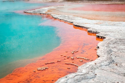 Wai-O-Tapu: Thermal Park and Lady Knox Geyser Entry Ticket