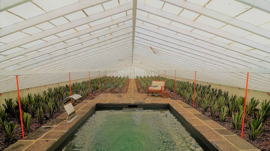 Pineapple greenhouse hot tube and pineapple tour