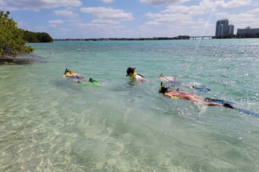 Picture 4 for Activity Ocean Reef Snorkeling and Paddleboarding