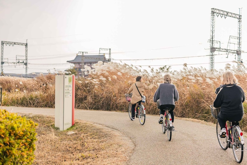 Picture 3 for Activity Nara: Explore the birthplace of the country with E-bike