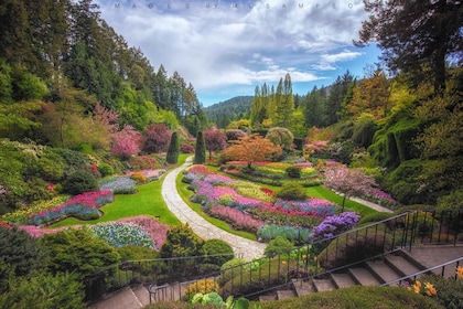 From Vancouver: Victoria City and Butchart Gardens Tour