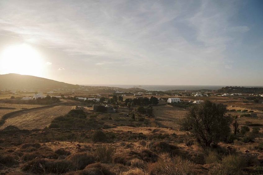 Picture 2 for Activity Paros: Morning Island Horseback Riding Adventure