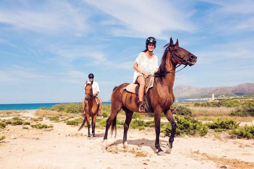 Picture 1 for Activity Paros: Island Horseback Riding Adventure