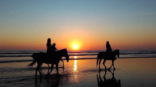 Paros: Island Horseback Riding Adventure