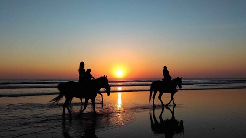 Paros : Aventure d’équitation de l’île