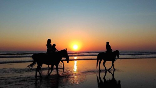 Paros: aventura a caballo en la isla