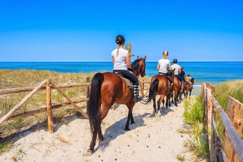 Picture 3 for Activity Paros: Island Horseback Riding Adventure