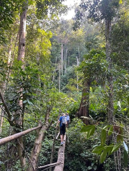 Picture 24 for Activity From Chiang Mai: Doi Saket Hiking Tour with Lunch