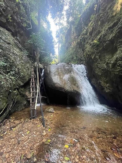 Picture 26 for Activity From Chiang Mai: Doi Saket Hiking Tour with Lunch