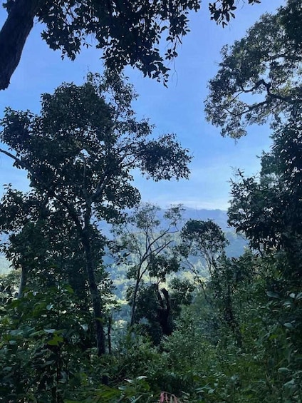 Picture 36 for Activity From Chiang Mai: Doi Saket Hiking Tour with Lunch