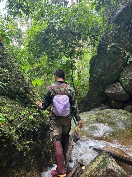 Picture 12 for Activity From Chiang Mai: Doi Saket Hiking Tour with Lunch