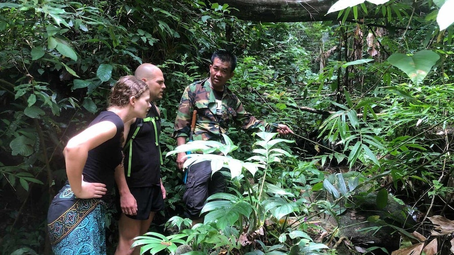 From Chiang Mai: Doi Saket Hiking Tour with Lunch