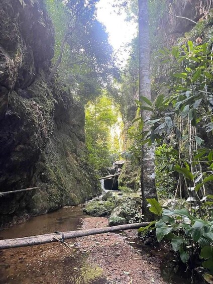 Picture 32 for Activity From Chiang Mai: Doi Saket Hiking Tour with Lunch