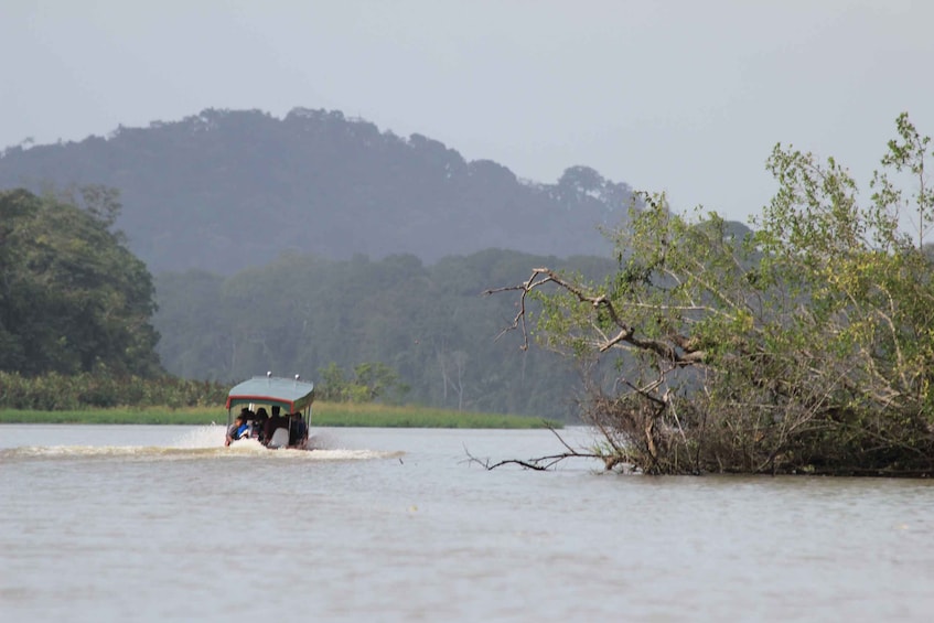 Picture 1 for Activity Terraba Sierpe National Wetlands - Mangrove Tour