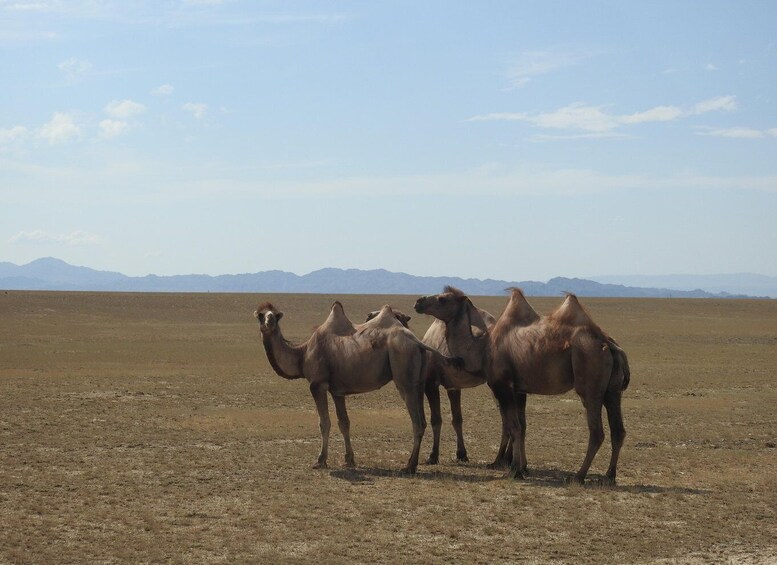 Picture 1 for Activity PRIVATE TOUR Charyn Canyon, Kolsay and Kaindy Lakes (3 Days)