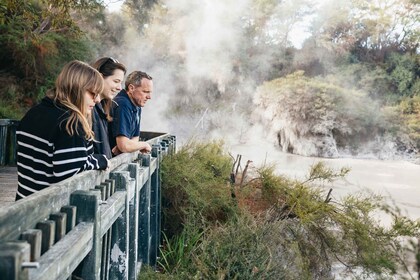 Rotorua: 'Thermal Path Tour' Geothermal half day Tour