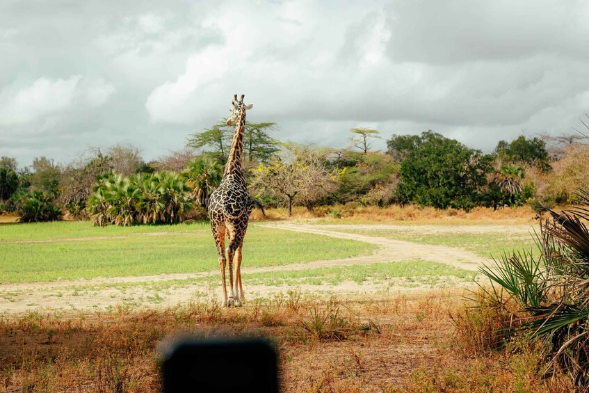 Picture 3 for Activity 2-Day Thrilling Safari at the Largest Game Reserve