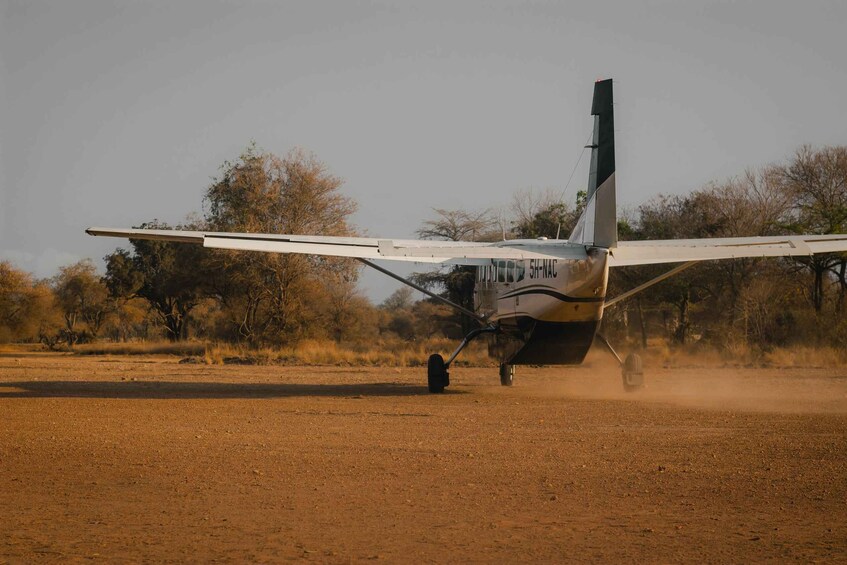 Picture 1 for Activity 2-Day Thrilling Safari at the Largest Game Reserve