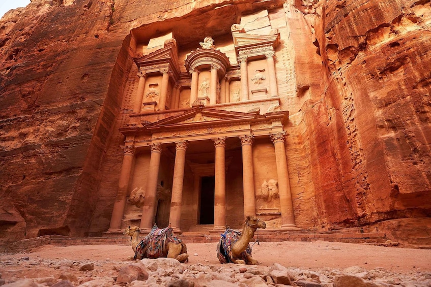 From Amman and Dead Sea: Petra and Wadi Rum 3 Day Tour