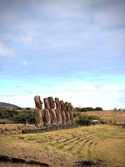 Picture 4 for Activity Rapa Nui: Private Tour "The Legend of the BirdMan"