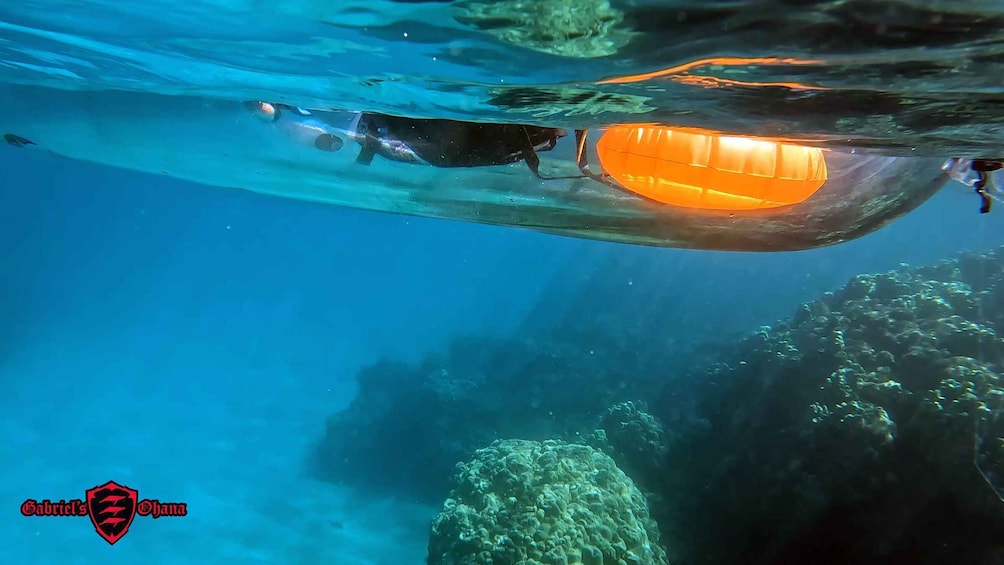 Picture 29 for Activity Olowalu: Guided Tour Over Reefs in Transparent Kayak