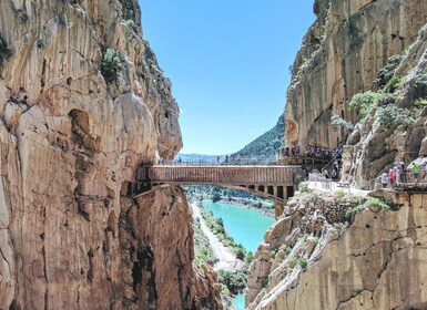 Fra Marbella eller Estepona: Guidet dagstur på Caminito del Rey