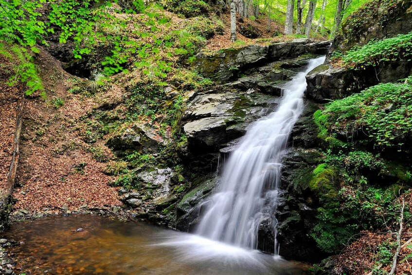 Picture 2 for Activity From Skopje: Berovo Full Day Tour and Hike