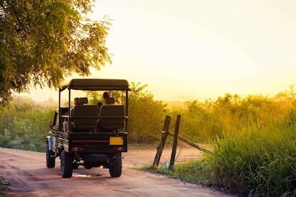 Från Negombo: Safaritur till nationalparken Minneriya