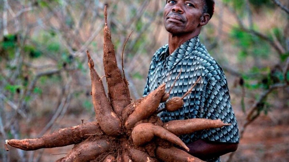 Picture 4 for Activity Dominica: Sow & Grow Farm Exploration