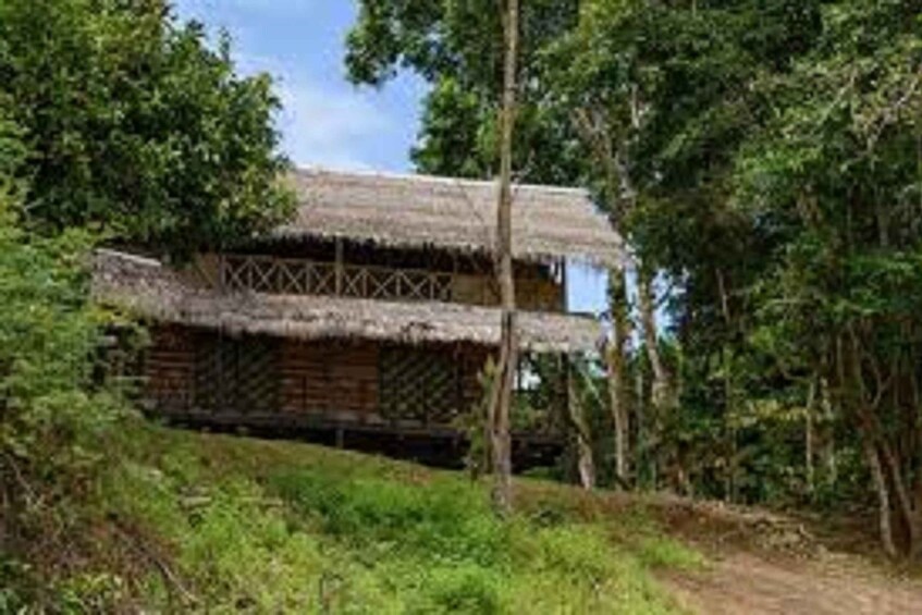 Picture 4 for Activity From Leticia to the rainforest 3 days/2 nights trek and boat